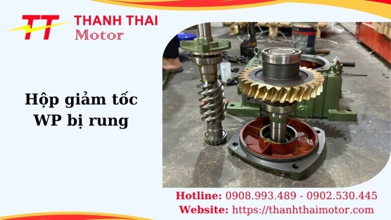 Thumb hộp giảm tốc WP bị rung