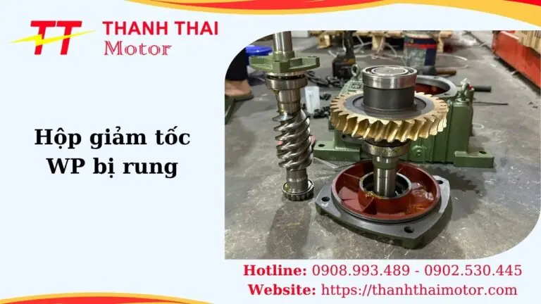 Thumb hộp giảm tốc WP bị rung