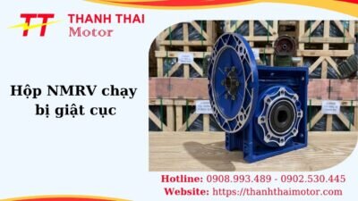 Thumb hộp NMRV chạy bị giật cục