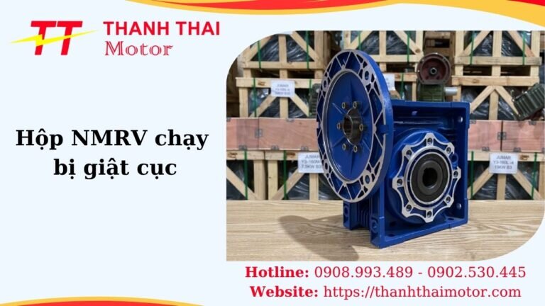Thumb hộp NMRV chạy bị giật cục