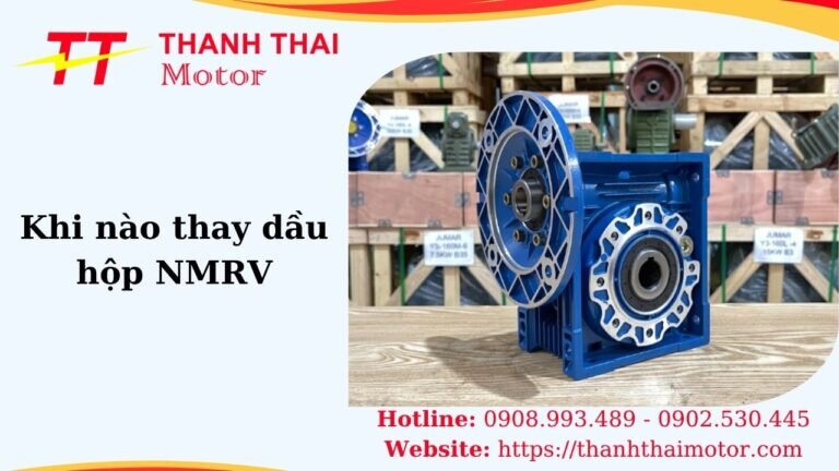 Hình thumb khi nào thay dầu hộp NMRV