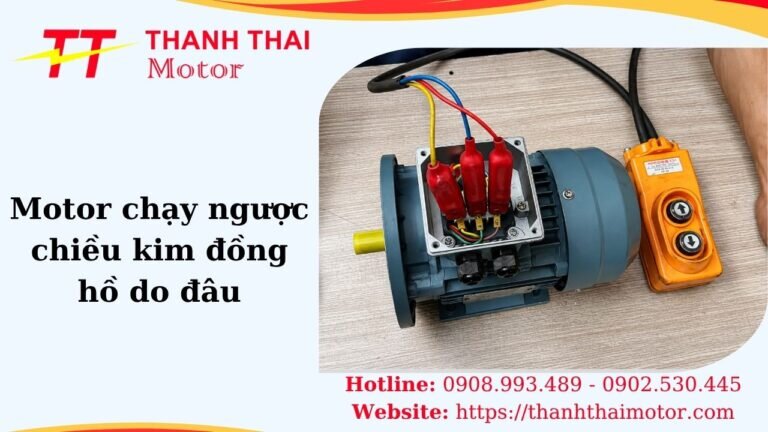Hình thumb motor chạy ngược chiều kim đồng hồ do đâu