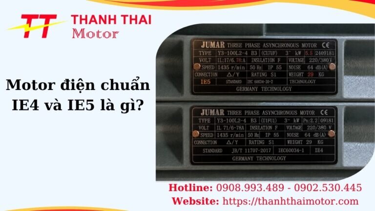 Hình thumb motor điện chuẩn IE4 và IE5 là gì
