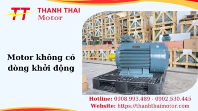 Thumb motor không có dòng khởi động