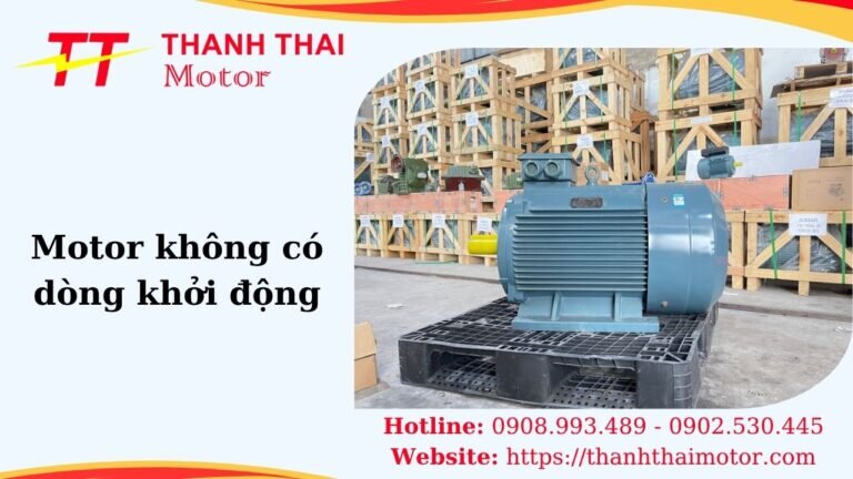 Thumb motor không có dòng khởi động