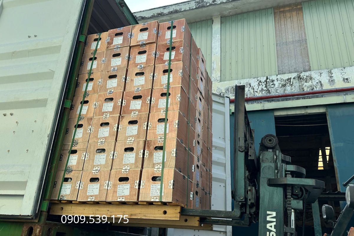 Bạn nhân viên đang tiến hành chuyển hàng về kho