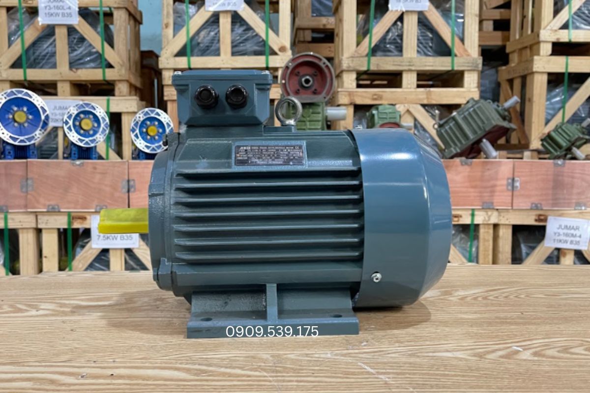 Motor chân đế có nhiều thương hiệu từ châu Á, châu Âu và Việt Nam với đa dạng công suất và tiêu chuẩn