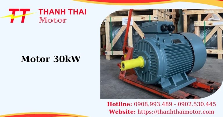 Hình thumb motor 30kW