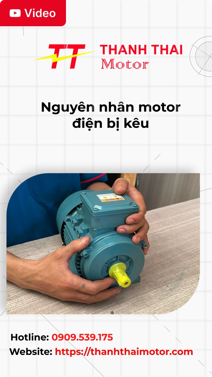 Thumb motor điện bị kêu