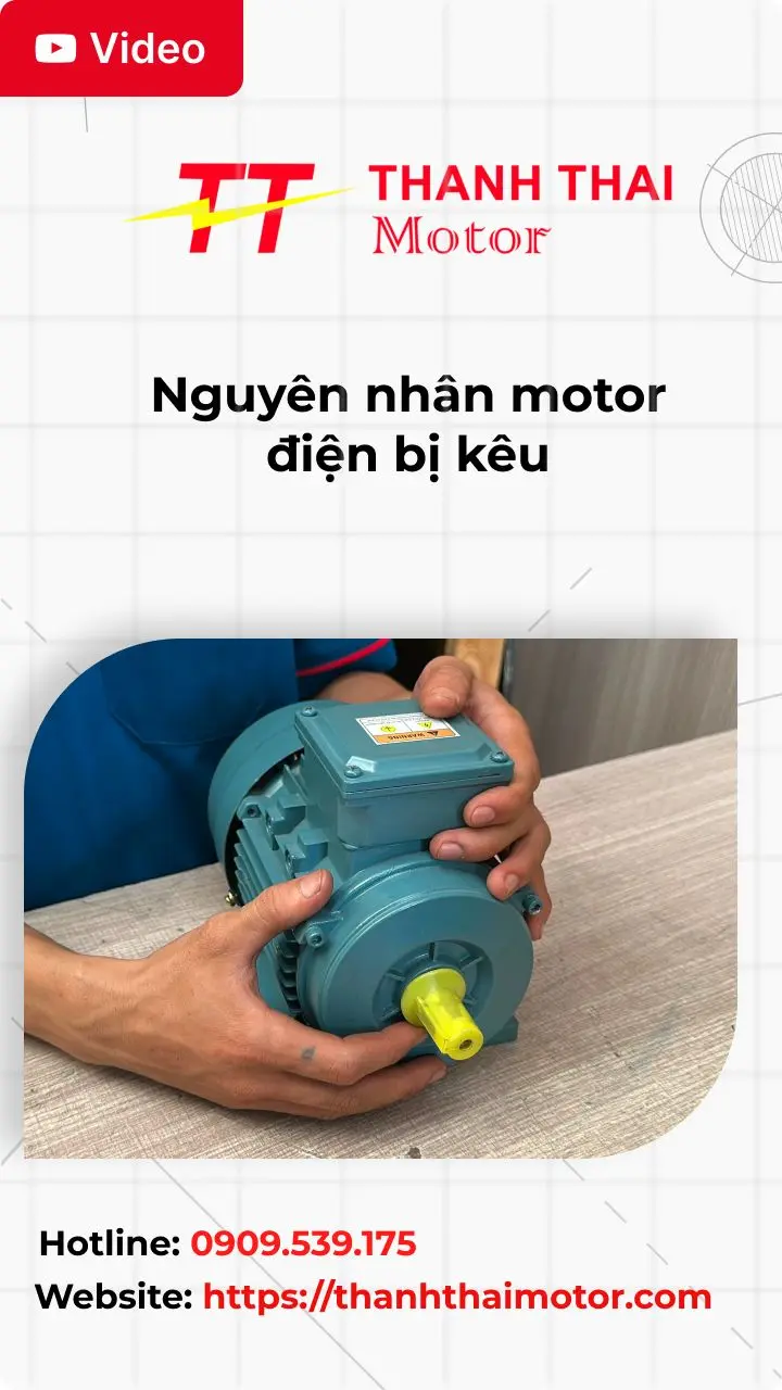 Thumb motor điện bị kêu