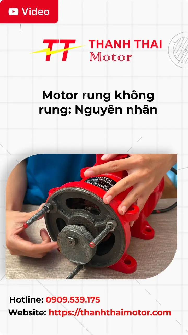 Thumb tìm hiểu motor rung không rung: Nguyên nhân