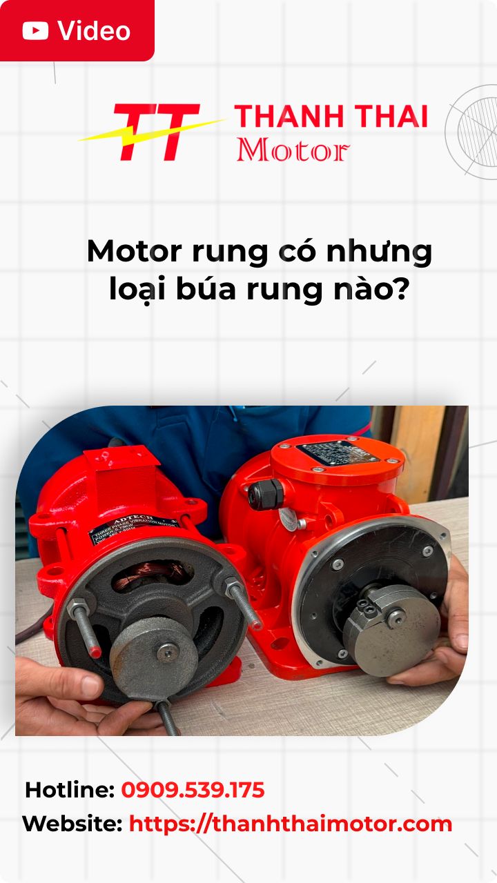 Thumb tìm hiểu motor rung có nhưng loại búa rung nào?