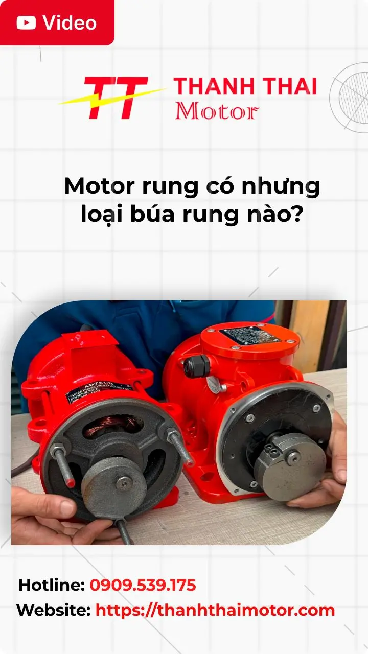 Thumb tìm hiểu motor rung có nhưng loại búa rung nào?