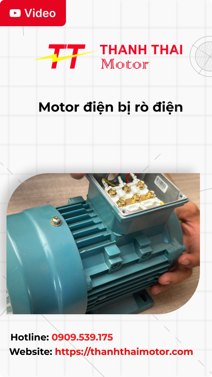 Thumn video tìm hiểu motor điện bị rò điện