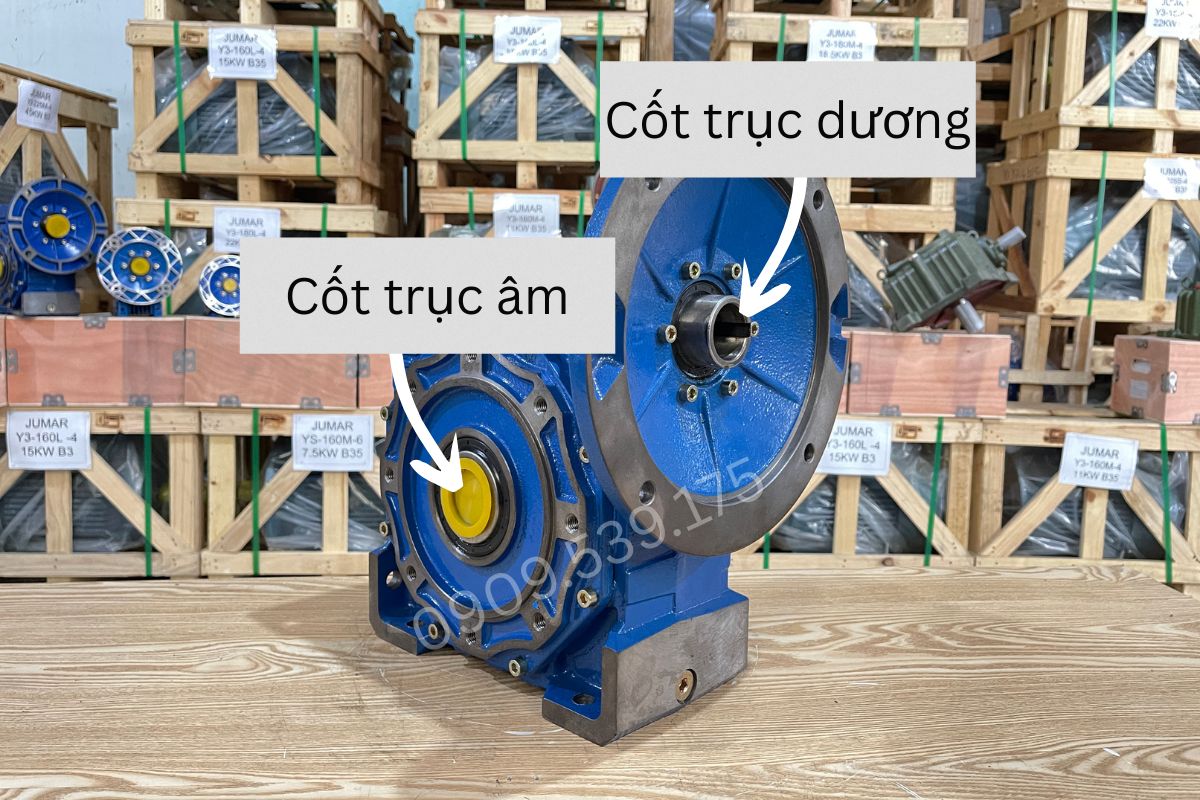 Trục âm và trục dương của hộp giảm tốc NMRV