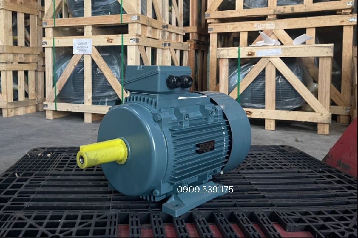 Motor điện 3 pha 380V được ứng dụng trong hệ thống bơm, nâng hạ, thông gió, tự động hóa và sản xuất