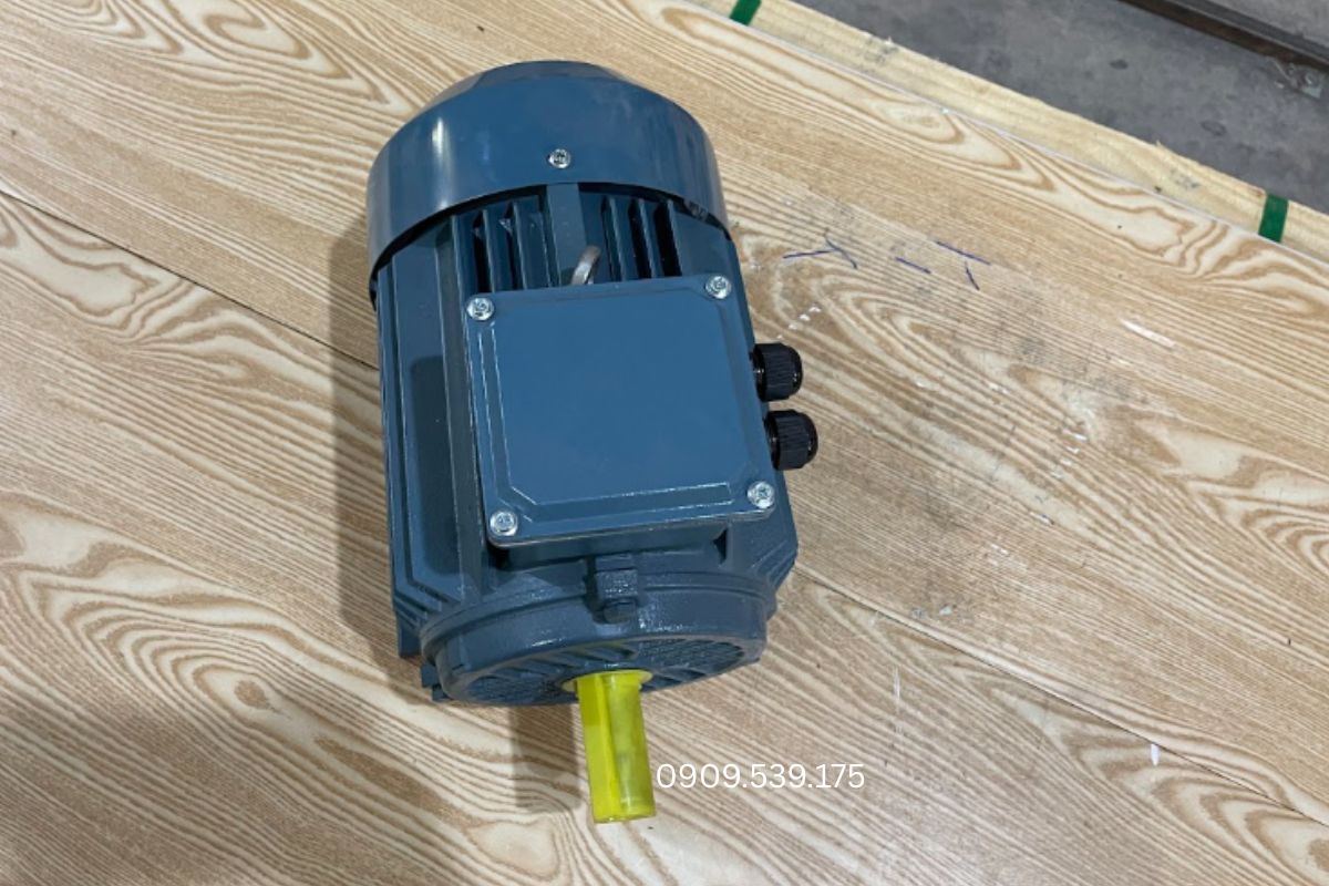 Motor chân đế được sử dụng để dẫn động máy bơm, quạt, băng tải và nhiều thiết bị cơ khí, nông nghiệp