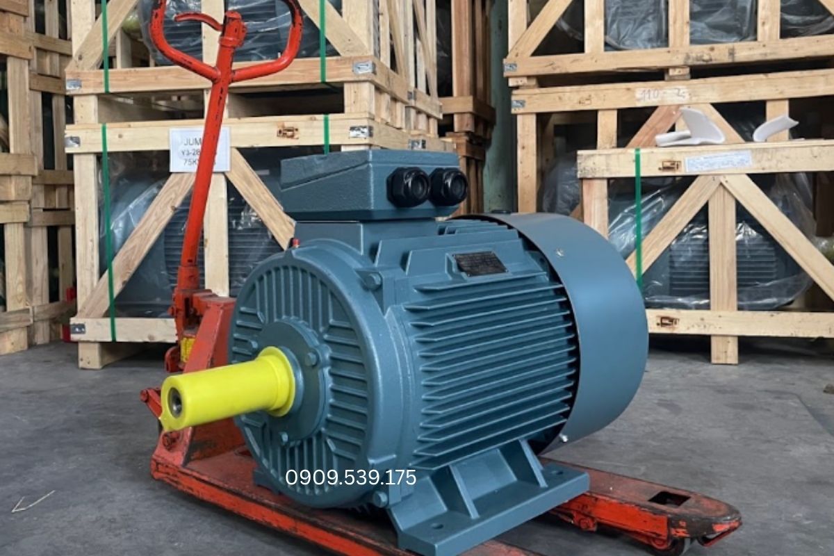 Các thương hiệu motor điện 3 pha phổ biến gồm Siemens, ABB, Toshiba, TECO và nhiều thương hiệu trong nước