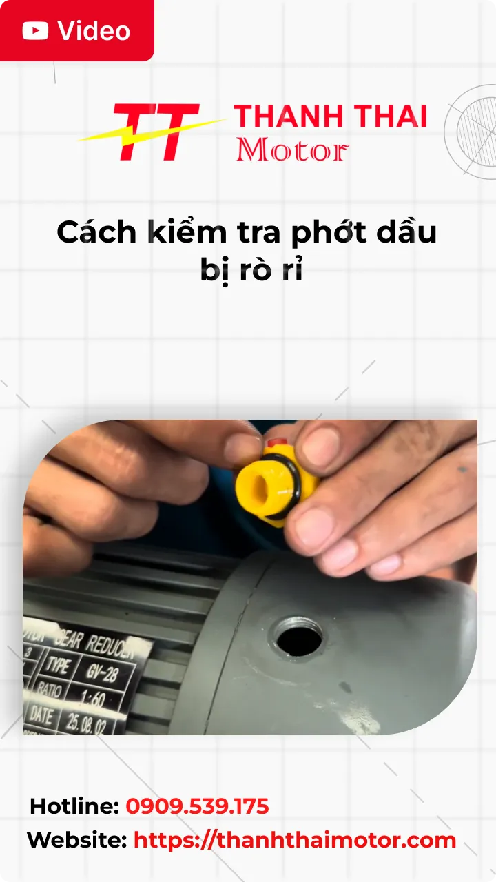 Thumb cách kiểm tra phớt dầu bị rò rỉ