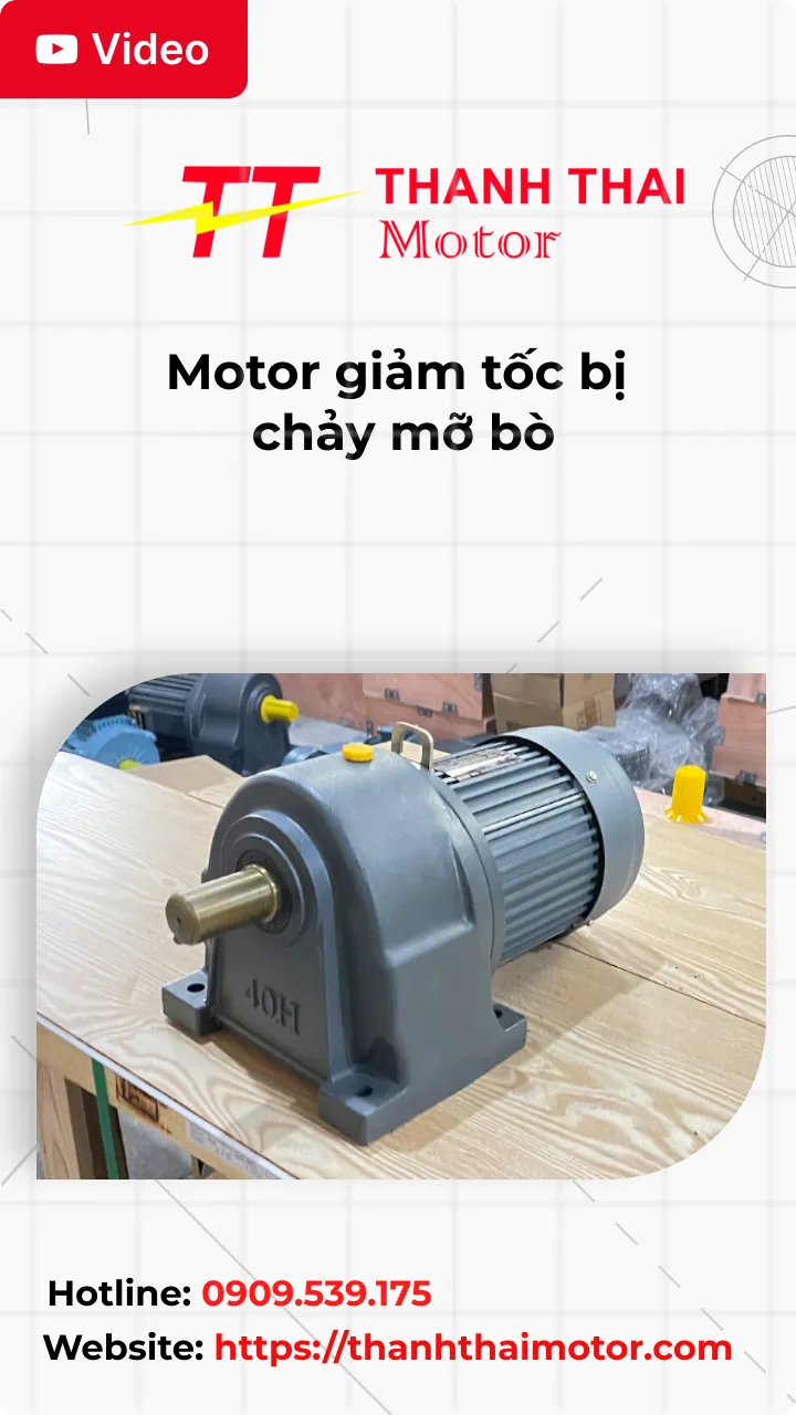 Thumb motor giảm tốc bị chảy mỡ bò