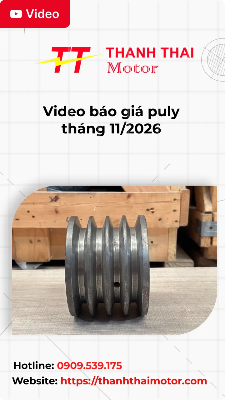 Thumb Video báo giá puly tháng 11/2026